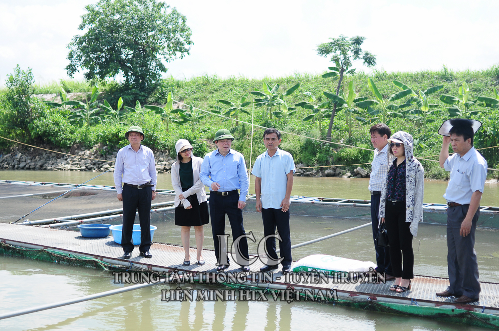 Sự kiện nổi bật